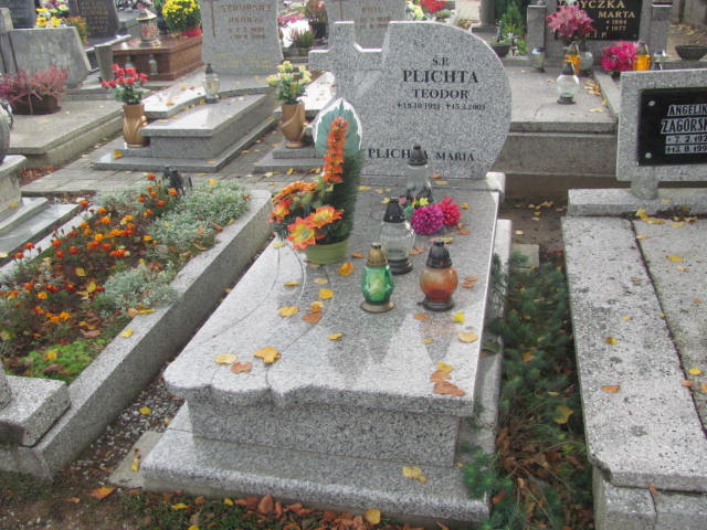 Grób Aniela Plichta