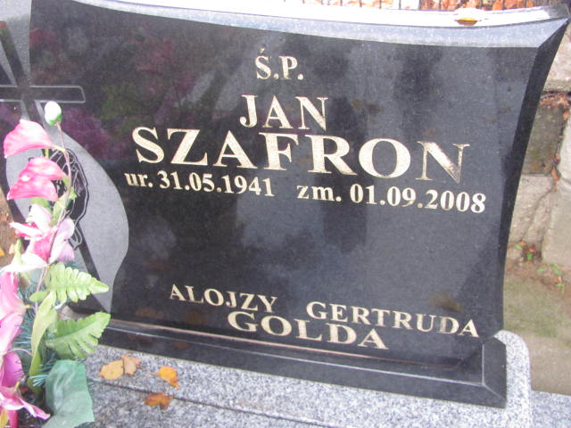 Alojzy Golda 1906 Orzesze Zgoń - Grobonet - Wyszukiwarka osób pochowanych